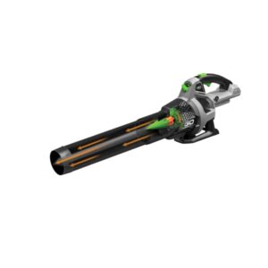 Souffleur EGO LB5300E